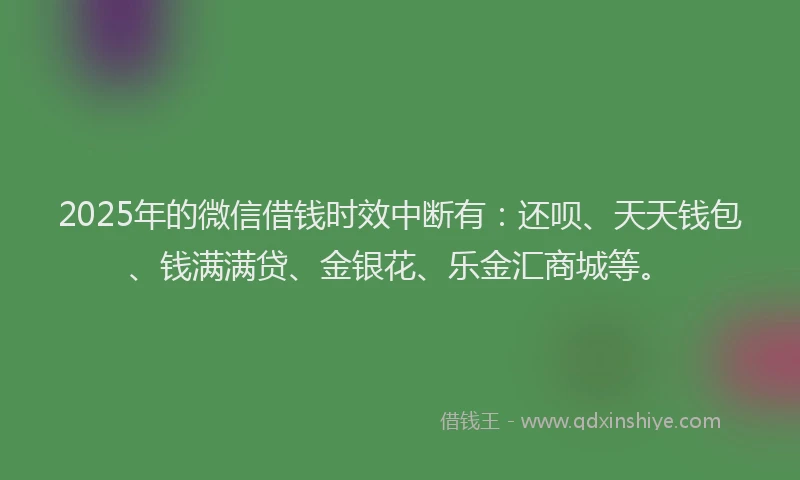 2025年的微信借钱时效中断有：还呗、天天钱包、钱满满贷、金银花、乐金汇商城等。