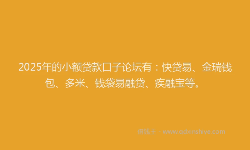 2025年的小额贷款口子论坛有：快贷易、金瑞钱包、多米、钱袋易融贷、疾融宝等。