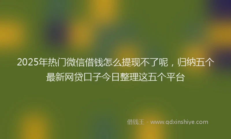 2025年热门微信借钱怎么提现不了呢，归纳五个最新网贷口子今日整理这五个平台