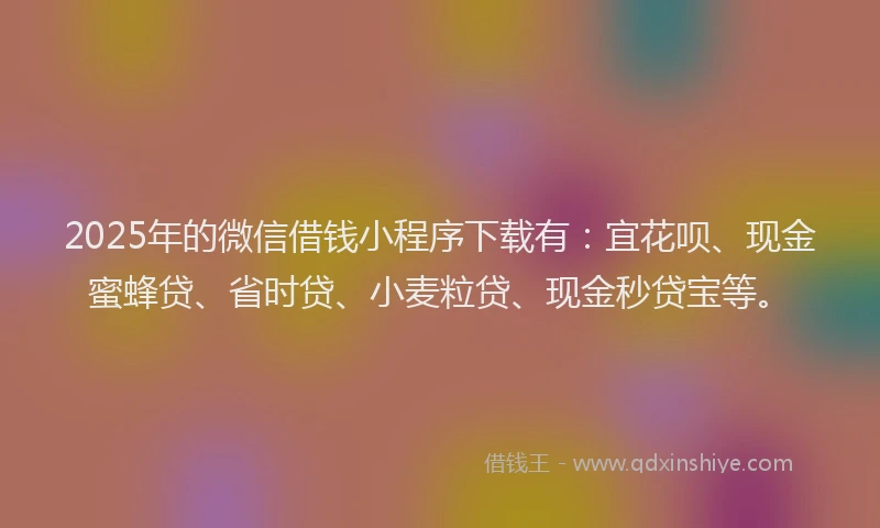 2025年的微信借钱小程序下载有：宜花呗、现金蜜蜂贷、省时贷、小麦粒贷、现金秒贷宝等。