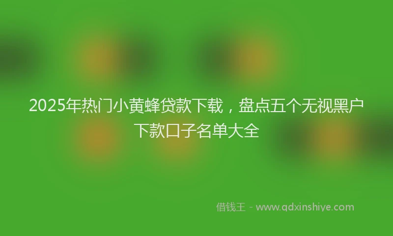 2025年热门小黄蜂贷款下载，盘点五个无视黑户下款口子名单大全