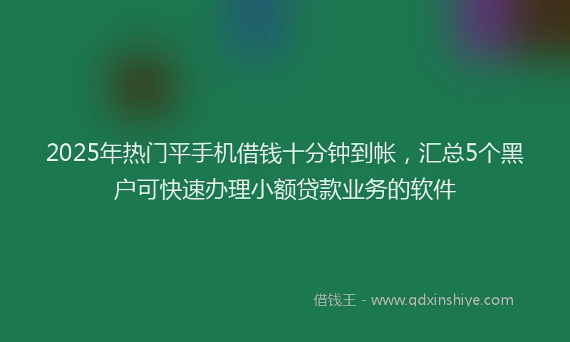 2025年热门平手机借钱十分钟到帐，汇总5个黑户可快速办理小额贷款业务的软件