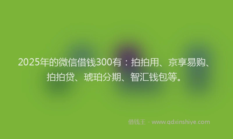 2025年的微信借钱300有：拍拍用、京享易购、拍拍贷、琥珀分期、智汇钱包等。