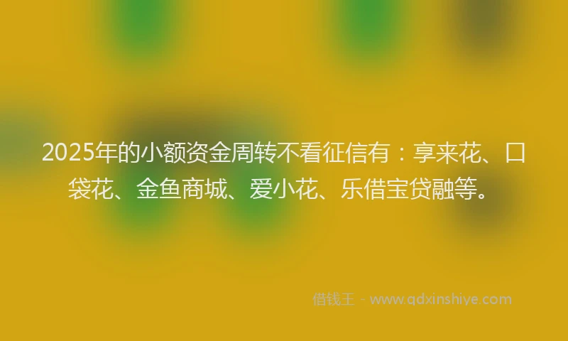 2025年的小额资金周转不看征信有：享来花、口袋花、金鱼商城、爱小花、乐借宝贷融等。