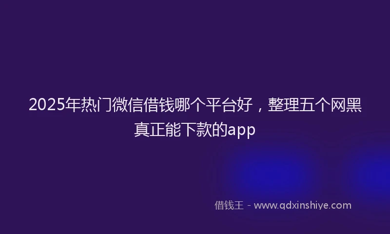 2025年热门微信借钱哪个平台好，整理五个网黑真正能下款的app