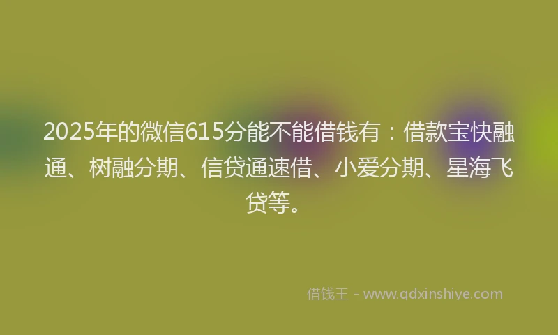 2025年的微信615分能不能借钱有：借款宝快融通、树融分期、信贷通速借、小爱分期、星海飞贷等。