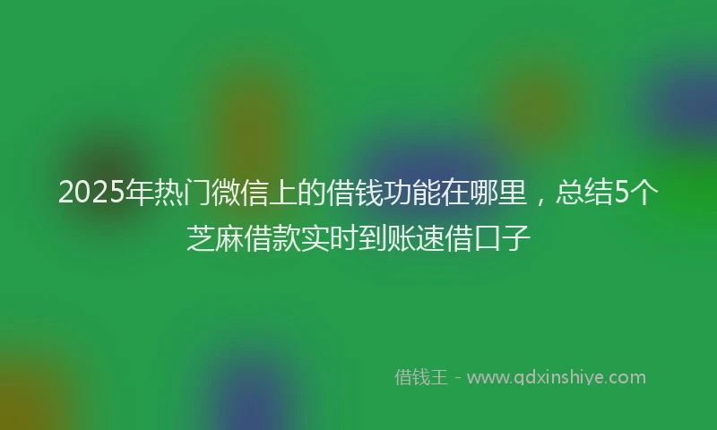 2025年热门微信上的借钱功能在哪里，总结5个芝麻借款实时到账速借口子