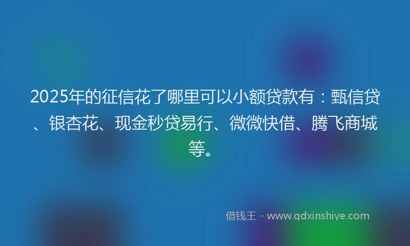 2025年的征信花了哪里可以小额贷款有：甄信贷、银杏花、现金秒贷易行、微微快借、腾飞商城等。