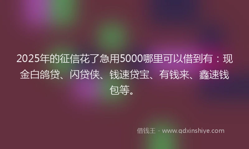 2025年的征信花了急用5000哪里可以借到有：现金白鸽贷、闪贷侠、钱速贷宝、有钱来、鑫速钱包等。
