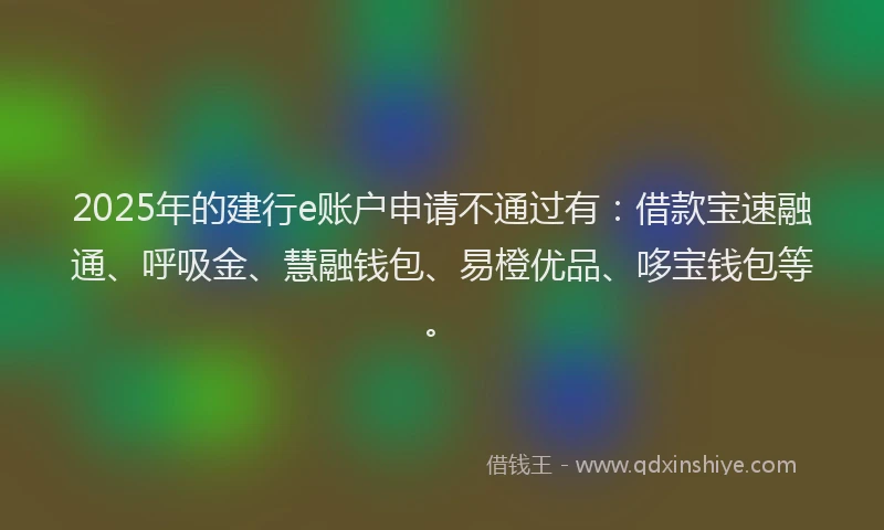 2025年的建行e账户申请不通过有：借款宝速融通、呼吸金、慧融钱包、易橙优品、哆宝钱包等。