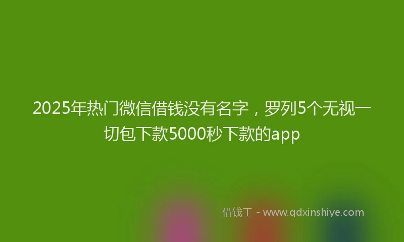 2025年热门微信借钱没有名字，罗列5个无视一切包下款5000秒下款的app