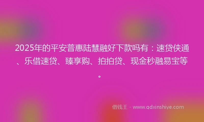 2025年的平安普惠陆慧融好下款吗有:速贷侠通、乐借速贷、臻享购、拍拍贷、现金秒融易宝等。