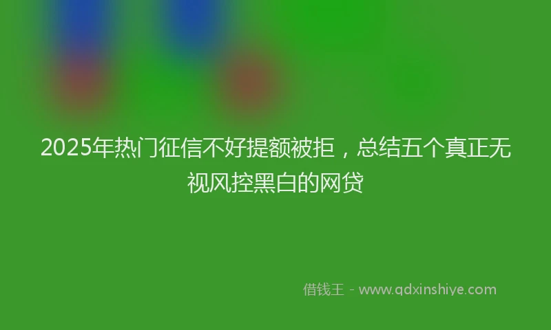 2025年热门征信不好提额被拒,总结五个真正无视风控黑白的网贷