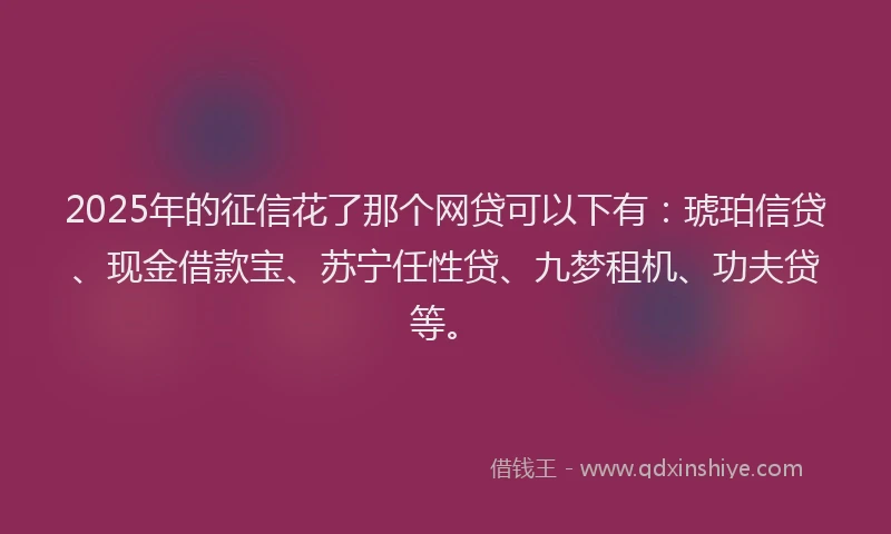 2025年的征信花了那个网贷可以下有：琥珀信贷、现金借款宝、苏宁任性贷、九梦租机、功夫贷等。