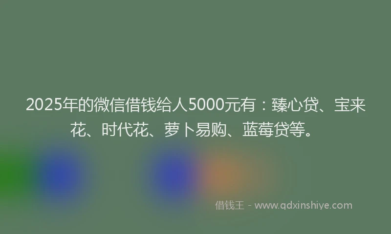 2025年的微信借钱给人5000元有：臻心贷、宝来花、时代花、萝卜易购、蓝莓贷等。