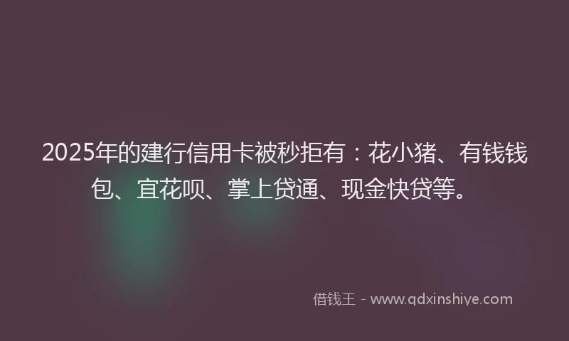 2025年的建行信用卡被秒拒有：花小猪、有钱钱包、宜花呗、掌上贷通、现金快贷等。