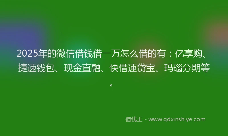 2025年的微信借钱借一万怎么借的有:亿享购、捷速钱包、现金直融、快借速贷宝、玛瑙分期等。
