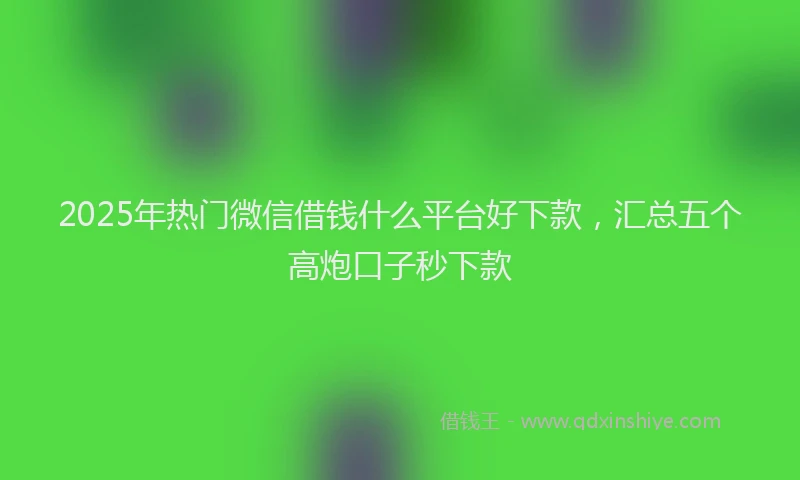 2025年热门微信借钱什么平台好下款，汇总五个高炮口子秒下款
