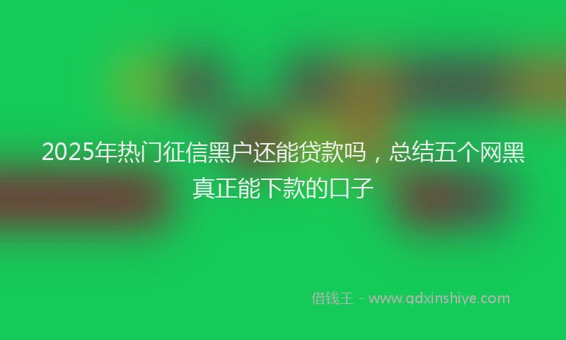 2025年热门征信黑户还能贷款吗，总结五个网黑真正能下款的口子