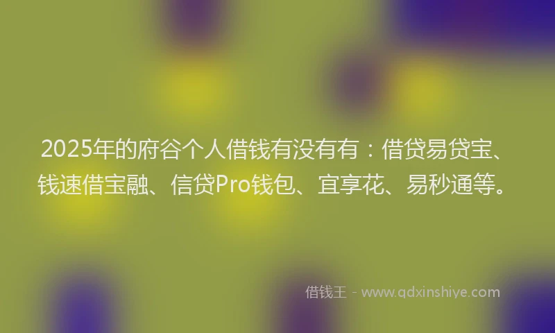 2025年的府谷个人借钱有没有有：借贷易贷宝、钱速借宝融、信贷Pro钱包、宜享花、易秒通等。