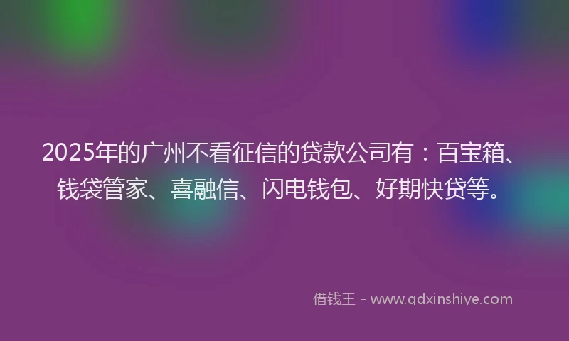 2025年的广州不看征信的贷款公司有：百宝箱、钱袋管家、喜融信、闪电钱包、好期快贷等。