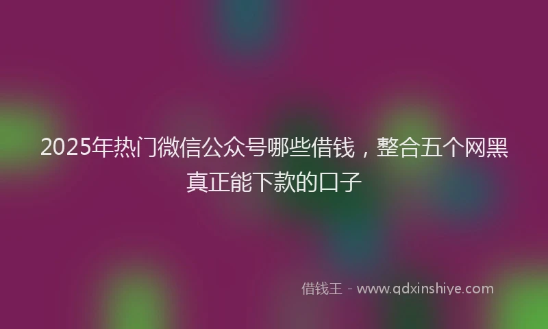 2025年热门微信公众号哪些借钱，整合五个网黑真正能下款的口子