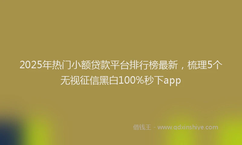 2025年热门小额贷款平台排行榜最新，梳理5个无视征信黑白100%秒下app