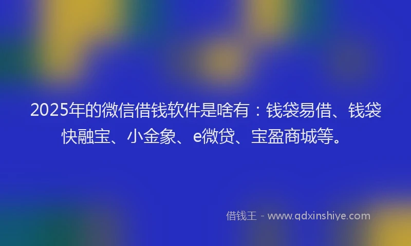 2025年的微信借钱软件是啥有：钱袋易借、钱袋快融宝、小金象、e微贷、宝盈商城等。