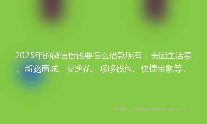 2025年的微信借钱要怎么借款呢有：美团生活费、新鑫商城、安逸花、哆哆钱包、快捷宝融等。