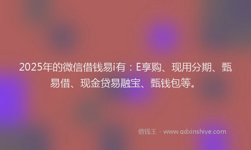 2025年的微信借钱易i有：E享购、现用分期、甄易借、现金贷易融宝、甄钱包等。