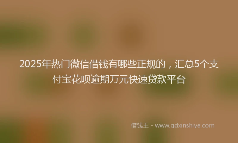 2025年热门微信借钱有哪些正规的，汇总5个支付宝花呗逾期万元快速贷款平台