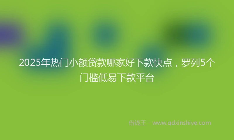 2025年热门小额贷款哪家好下款快点，罗列5个门槛低易下款平台