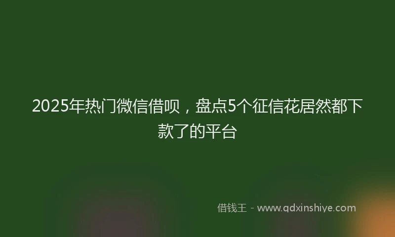 2025年热门微信借呗，盘点5个征信花居然都下款了的平台