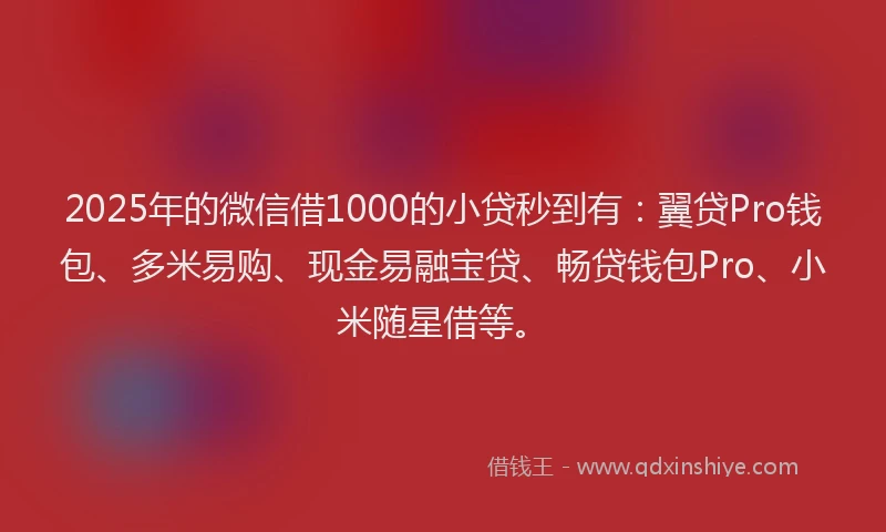 2025年的微信借1000的小贷秒到有:翼贷Pro钱包、多米易购、现金易融宝贷、畅贷钱包Pro、小米随星借等。