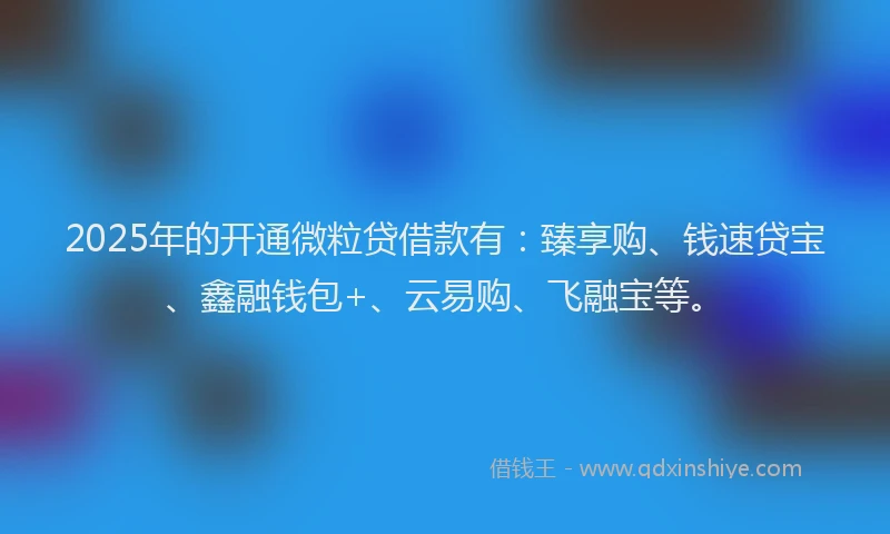 2025年的开通微粒贷借款有：臻享购、钱速贷宝、鑫融钱包+、云易购、飞融宝等。