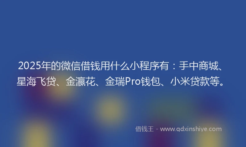 2025年的微信借钱用什么小程序有：手中商城、星海飞贷、金瀛花、金瑞Pro钱包、小米贷款等。