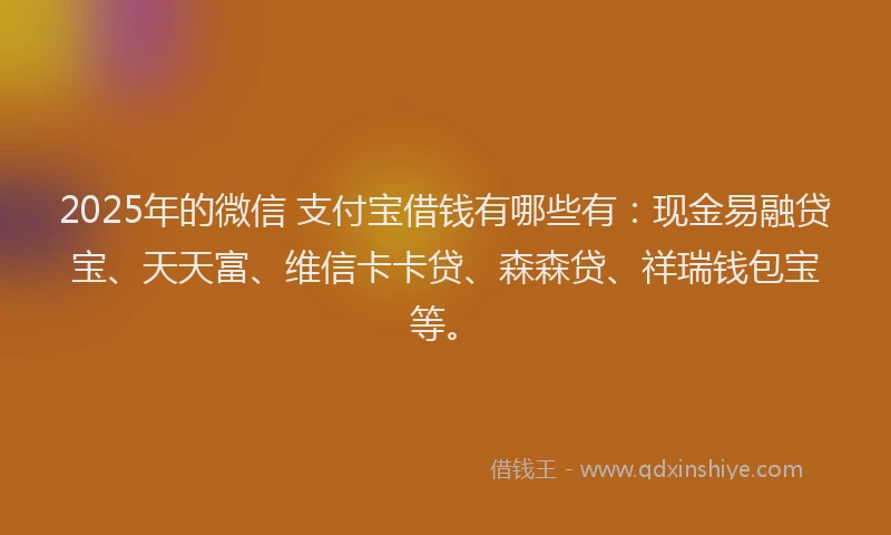 2025年的微信 支付宝借钱有哪些有：现金易融贷宝、天天富、维信卡卡贷、森森贷、祥瑞钱包宝等。