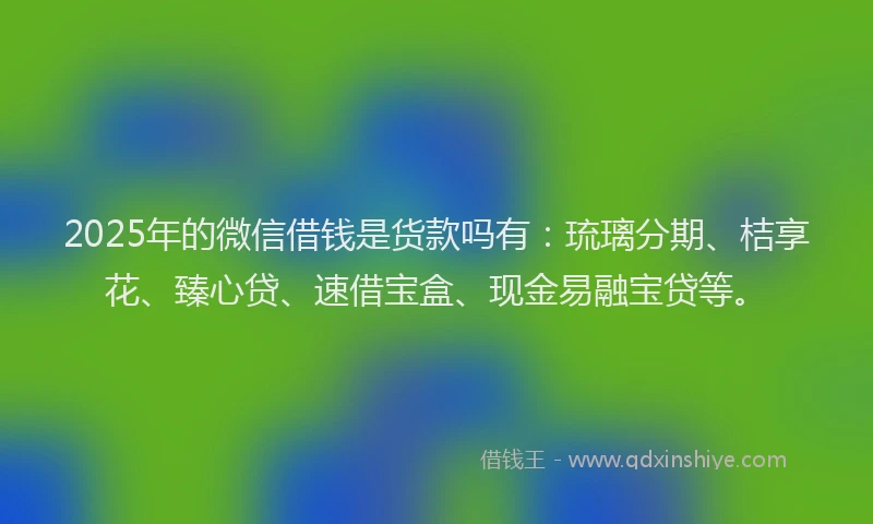 2025年的微信借钱是货款吗有：琉璃分期、桔享花、臻心贷、速借宝盒、现金易融宝贷等。