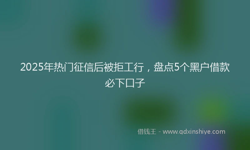 2025年热门征信后被拒工行，盘点5个黑户借款必下口子