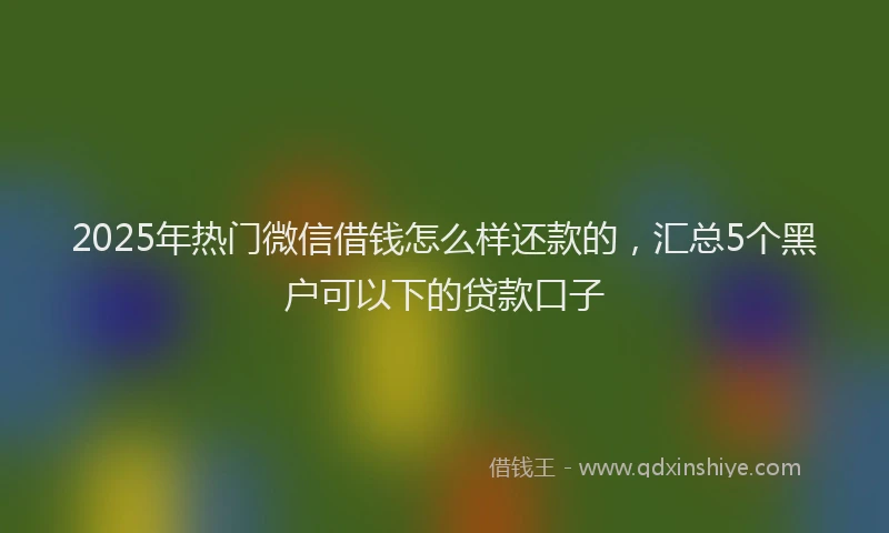 2025年热门微信借钱怎么样还款的，汇总5个黑户可以下的贷款口子