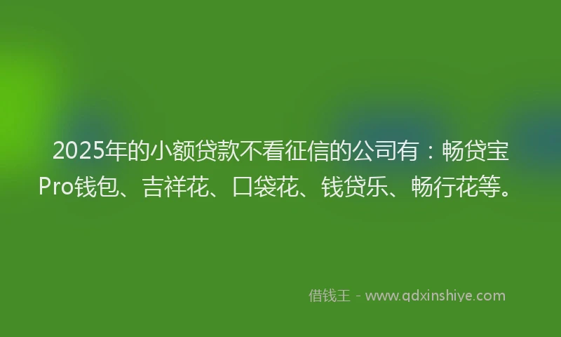 2025年的小额贷款不看征信的公司有：畅贷宝Pro钱包、吉祥花、口袋花、钱贷乐、畅行花等。