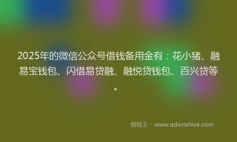 2025年的微信公众号借钱备用金有：花小猪、融易宝钱包、闪借易贷融、融悦贷钱包、百兴贷等。