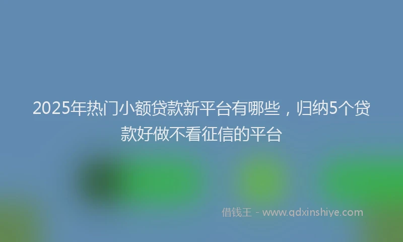 2025年热门小额贷款新平台有哪些，归纳5个贷款好做不看征信的平台