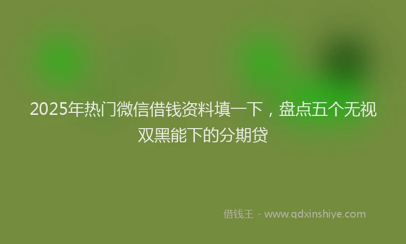 2025年热门微信借钱资料填一下，盘点五个无视双黑能下的分期贷