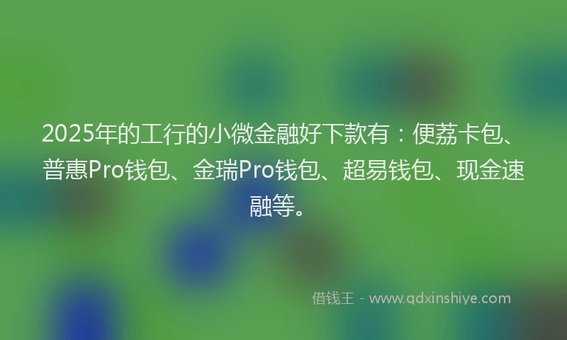 2025年的工行的小微金融好下款有：便荔卡包、普惠Pro钱包、金瑞Pro钱包、超易钱包、现金速融等。