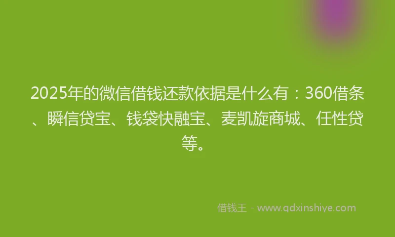 2025年的微信借钱还款依据是什么有：360借条、瞬信贷宝、钱袋快融宝、麦凯旋商城、任性贷等。