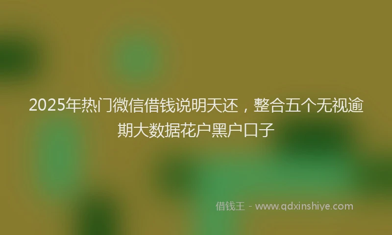 2025年热门微信借钱说明天还，整合五个无视逾期大数据花户黑户口子