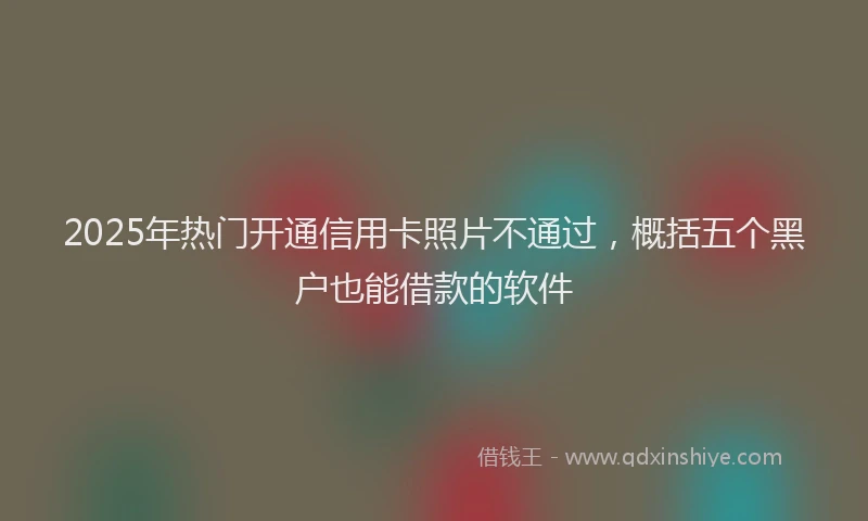 2025年热门开通信用卡照片不通过，概括五个黑户也能借款的软件