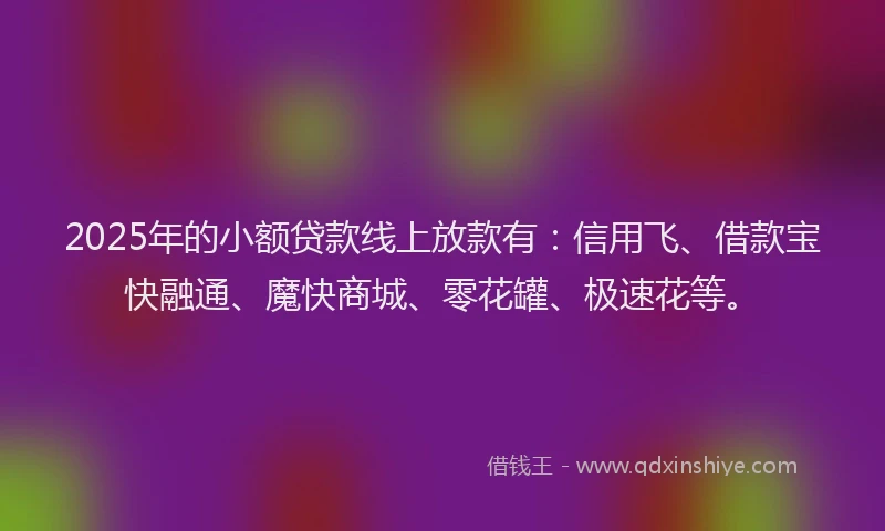2025年的小额贷款线上放款有：信用飞、借款宝快融通、魔快商城、零花罐、极速花等。