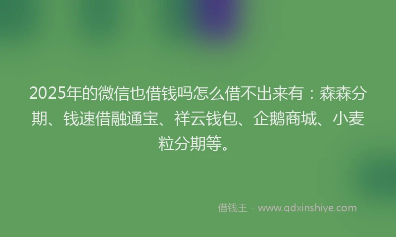 2025年的微信也借钱吗怎么借不出来有：森森分期、钱速借融通宝、祥云钱包、企鹅商城、小麦粒分期等。